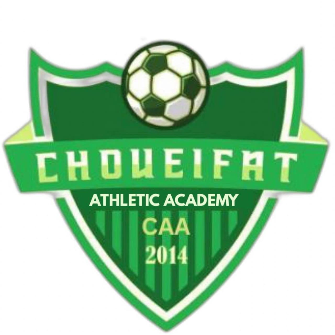 Choueifat Athletic Academy crest