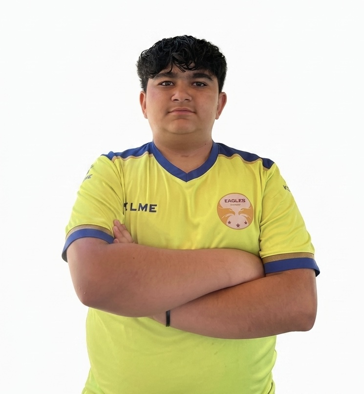 Wael  Mostafa